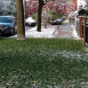 Meet your Posher, Sybil